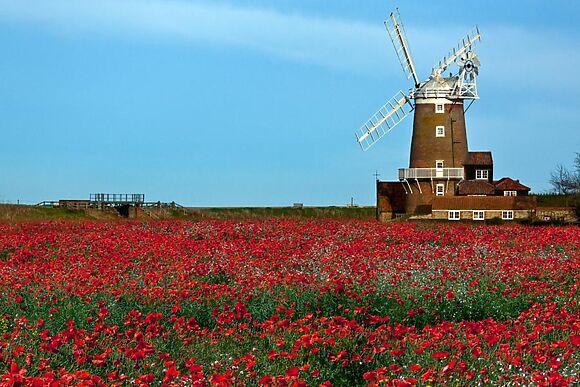 The Little Barn Holt