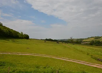 View from the rear of the property