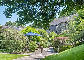 Spring Barn Bolberry