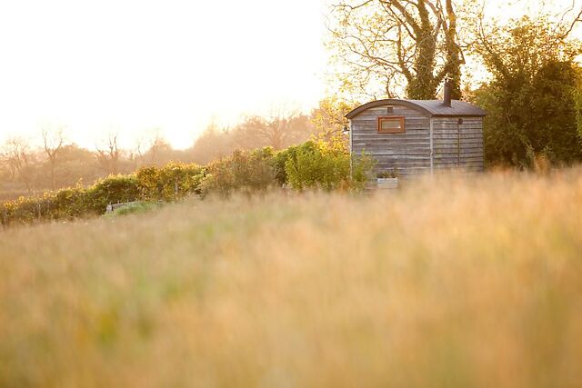 Little Leaf Hideaway