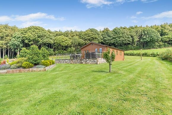 Holly Lodge Pheasant Fields