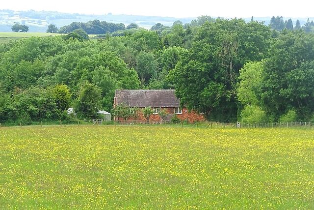 Meadowfields