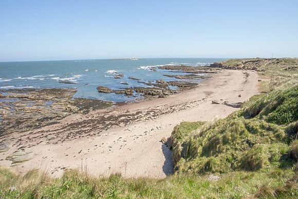Revilo Lookout