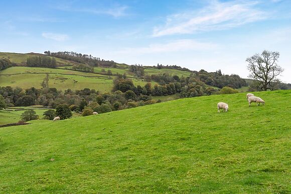 Church View At Longmire Yeat