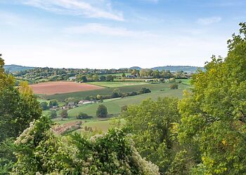 Plum Tree Cottage Symonds Yat