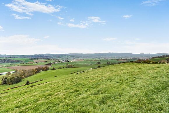 Walkers Retreat Montgomery