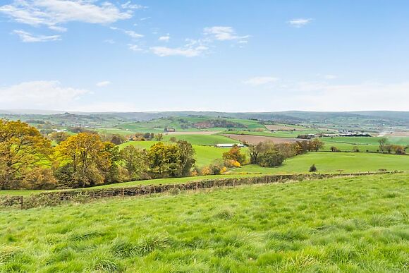 Walkers Retreat Montgomery