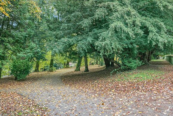 Apartment 5 The Castleton Suite