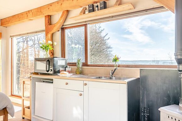 Hen Cabin