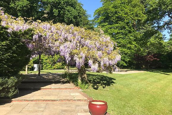 Chase Lodge Haslemere