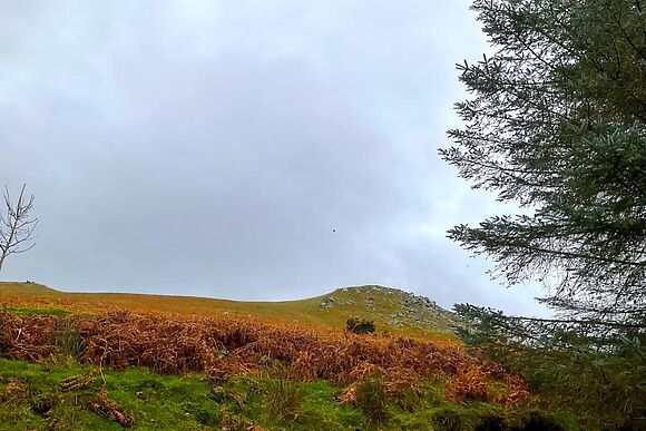 Brocklecrag