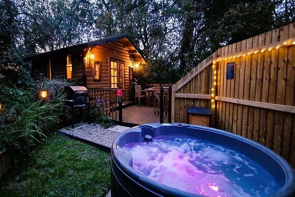 Lion Cabin