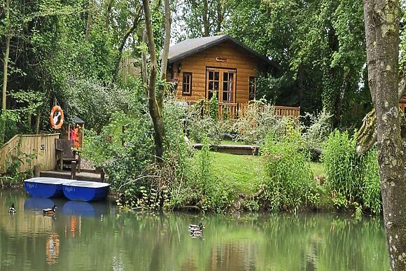 Lion Cabin