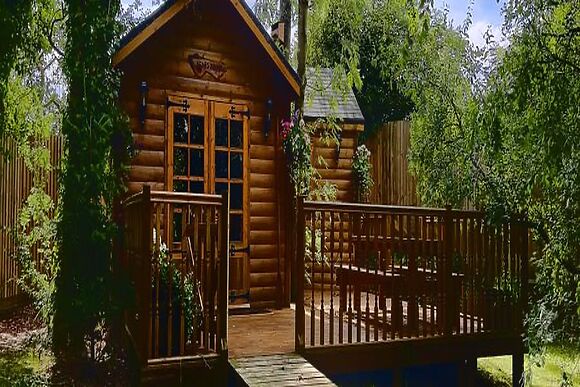 Bear Cabin