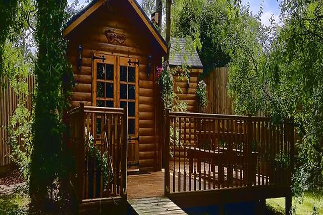 Bear Cabin