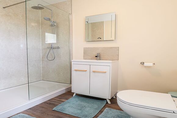 Sewin Cottage Llandeilo