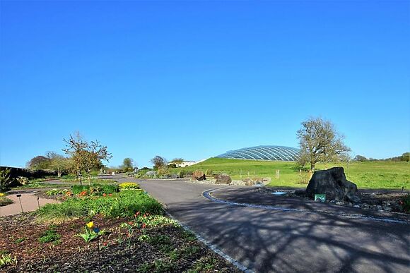 Barcud Cottage Llandeilo