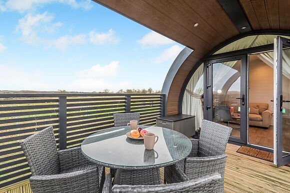 The Hedgehog Horncastle