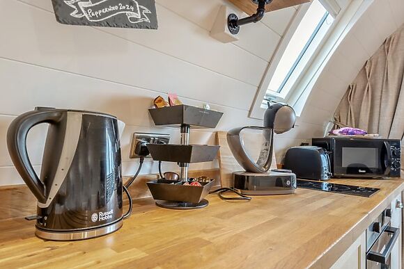 The Hedgehog Horncastle