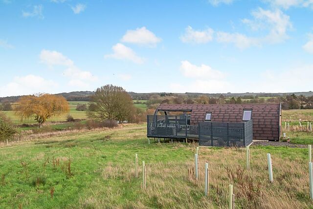 The Hedgehog Horncastle