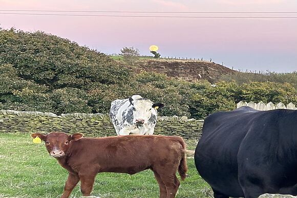 Laund Cottage Slaithwaite