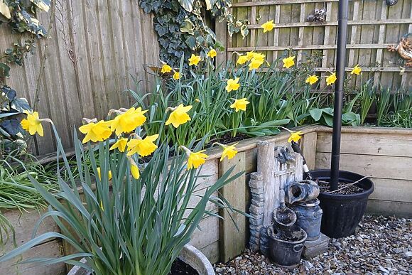 The Swallows Nest Marton