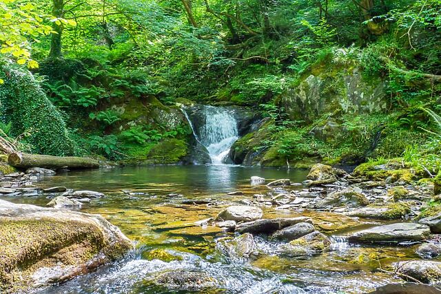 Ty Mynydd