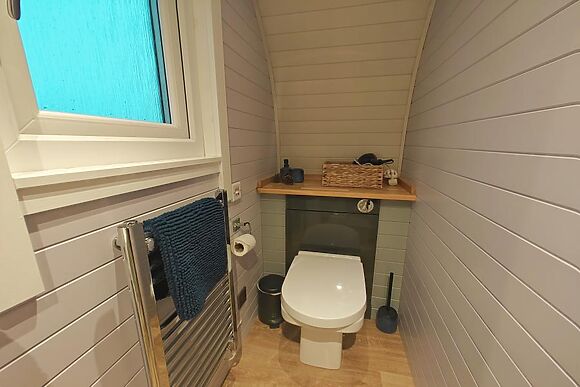 The Coo Cow At Inshewan