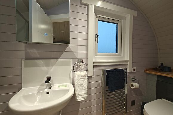 The Coo Cow At Inshewan