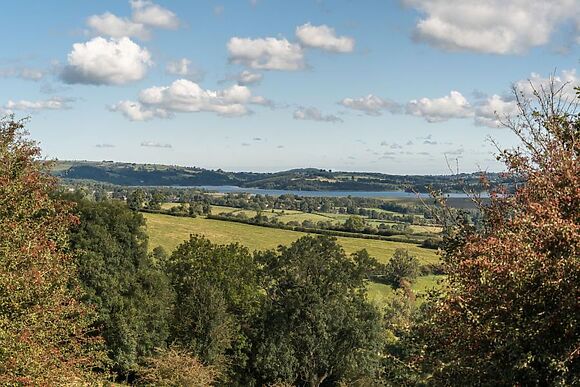 Bluebell Woods