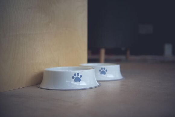 Kingfisher Lodge Gainford