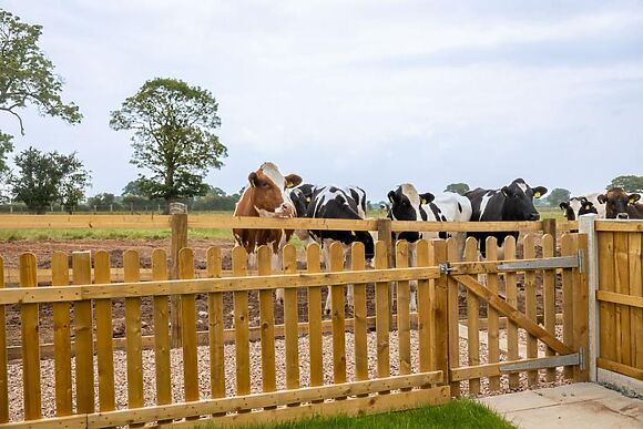 Oak Barn Pinfold Barn