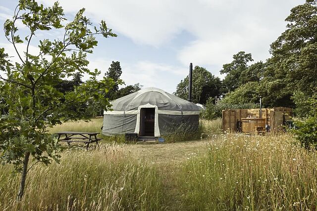 Ragged Robin At Wild Meadow