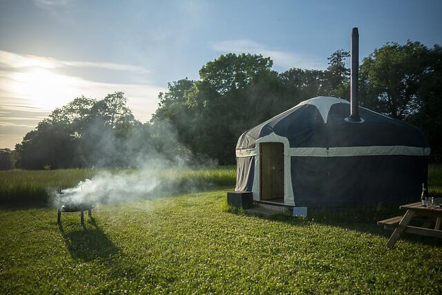 Shepherds Purse At Wild Meadow