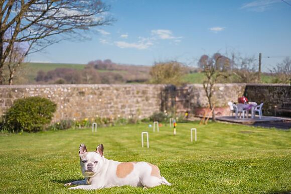 Kestrels Cottage Berwick St John
