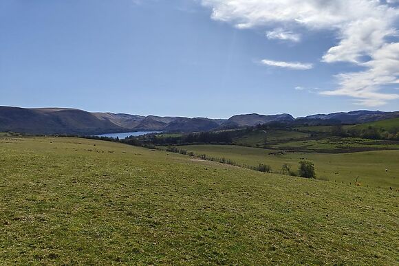 The Woolmere