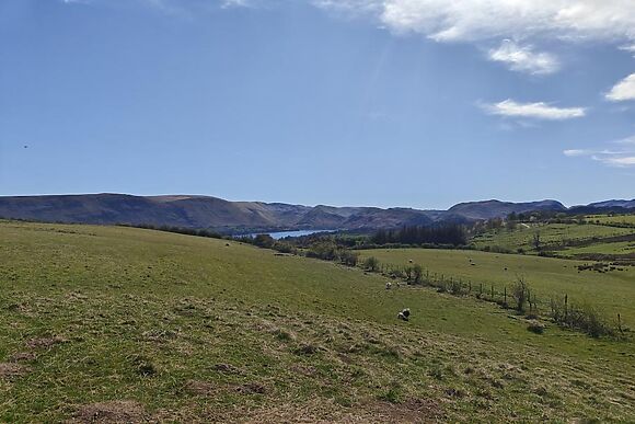 The Woolmere