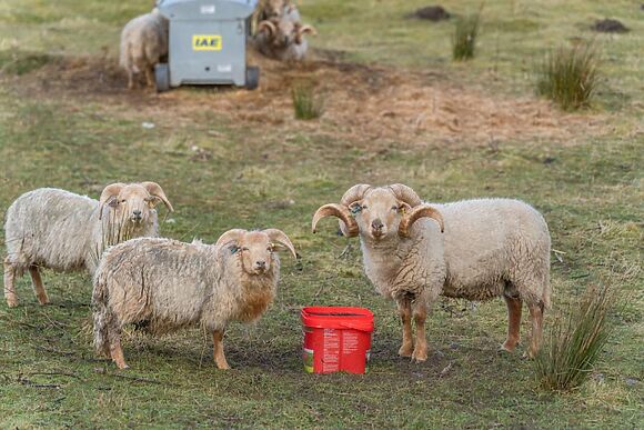 Waters Edge Hideaway Ochiltree