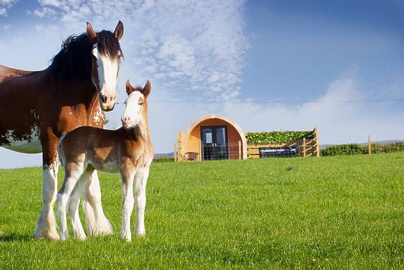 The Barn At Blairdrummond Stays