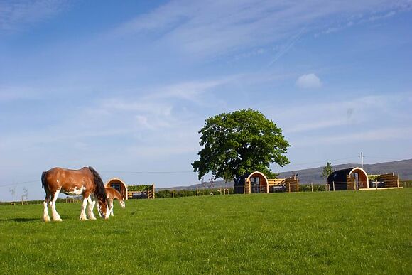 The Barn At Blairdrummond Stays