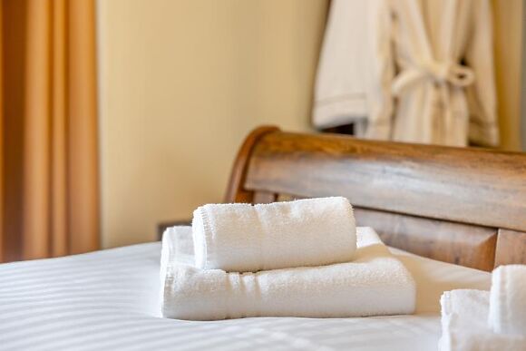 The Plum Tree - Pershore