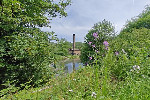 Canalside Cottage