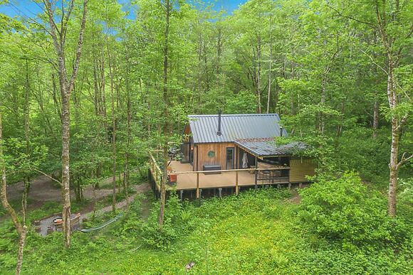 The Tree House