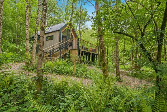 The Tree House