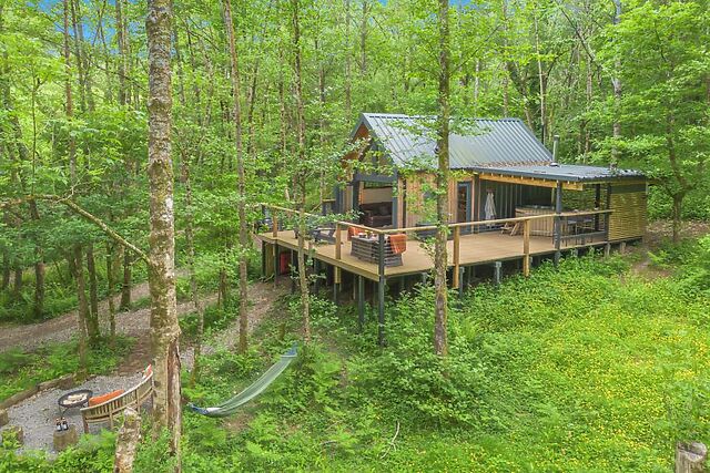 The Tree House