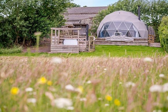 Geodesic Dome 1