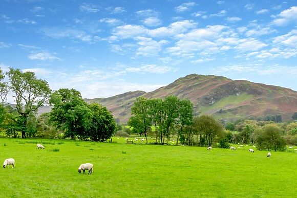 The Sparrow - Mire House