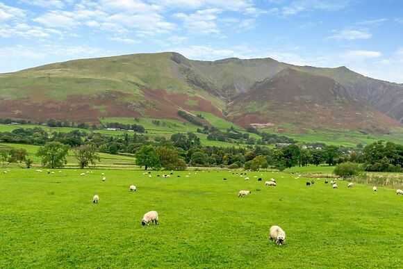 The Sparrow - Mire House