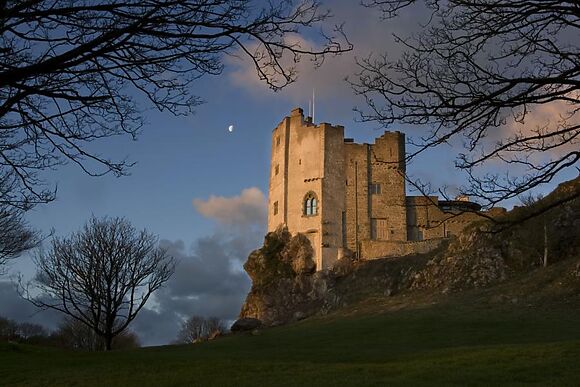 Roch Castle