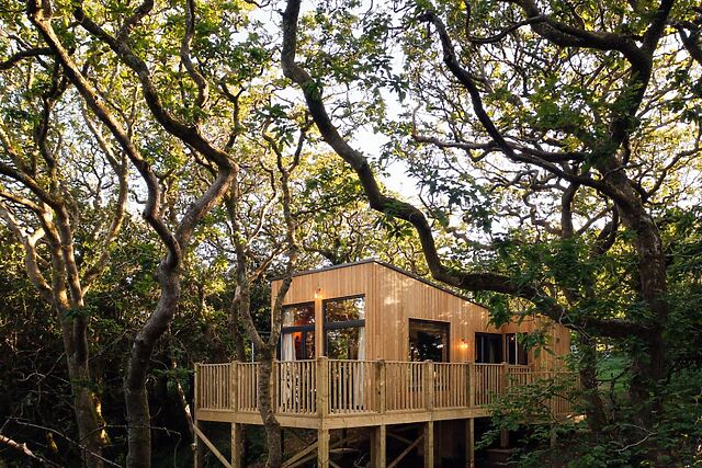 Leopard Treehouse